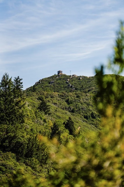 Runners moving across the hills