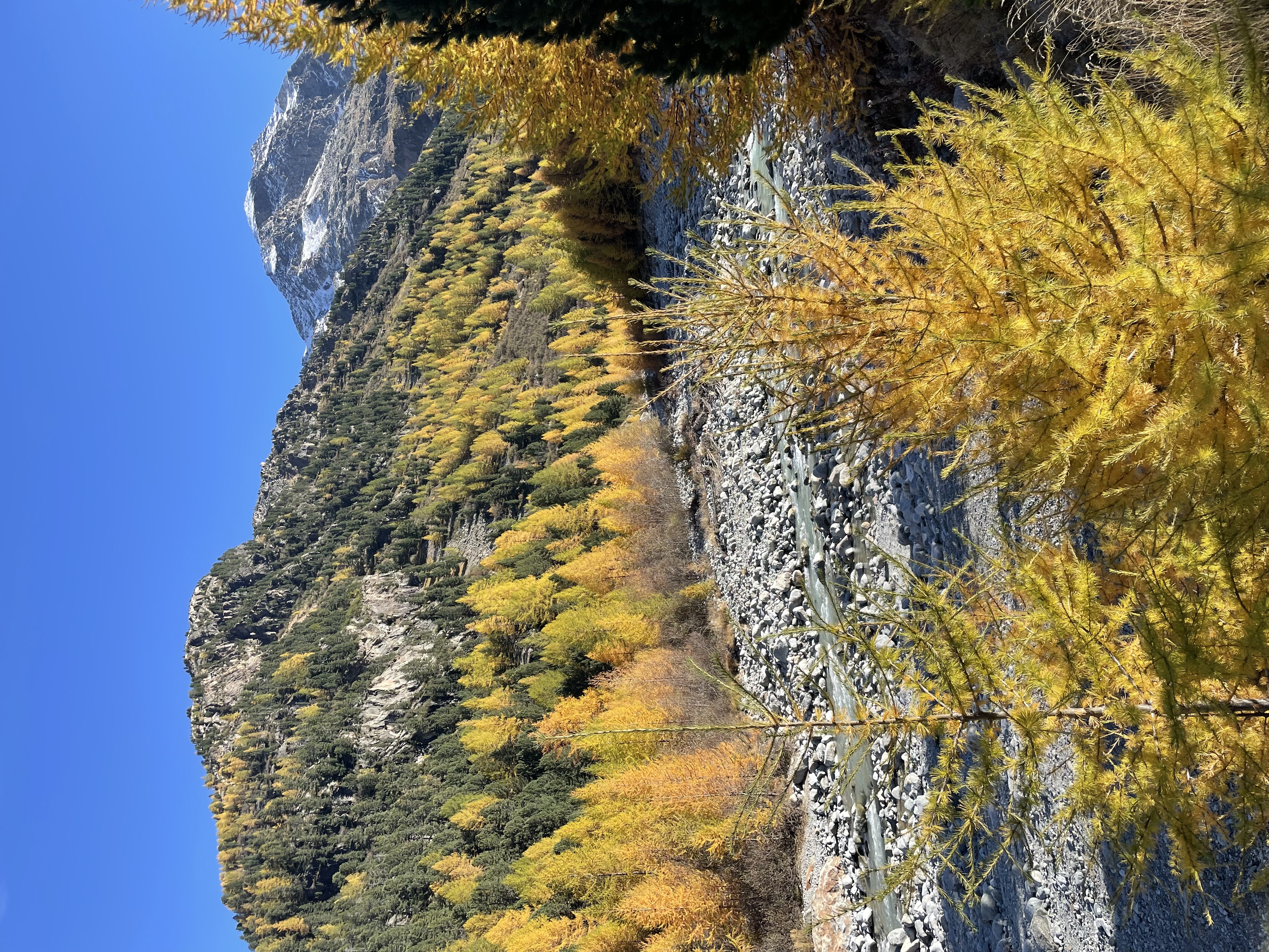 IMG e6