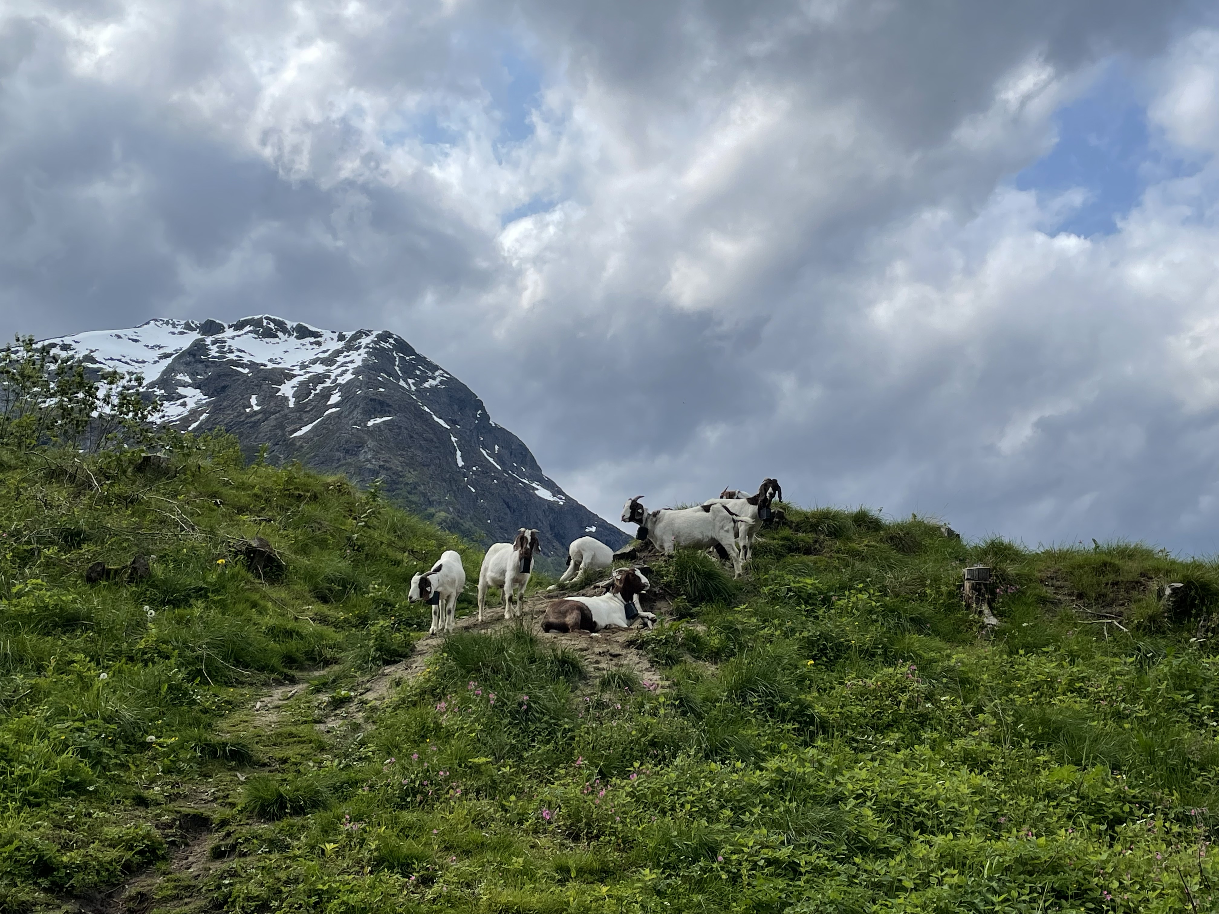 Norvøya