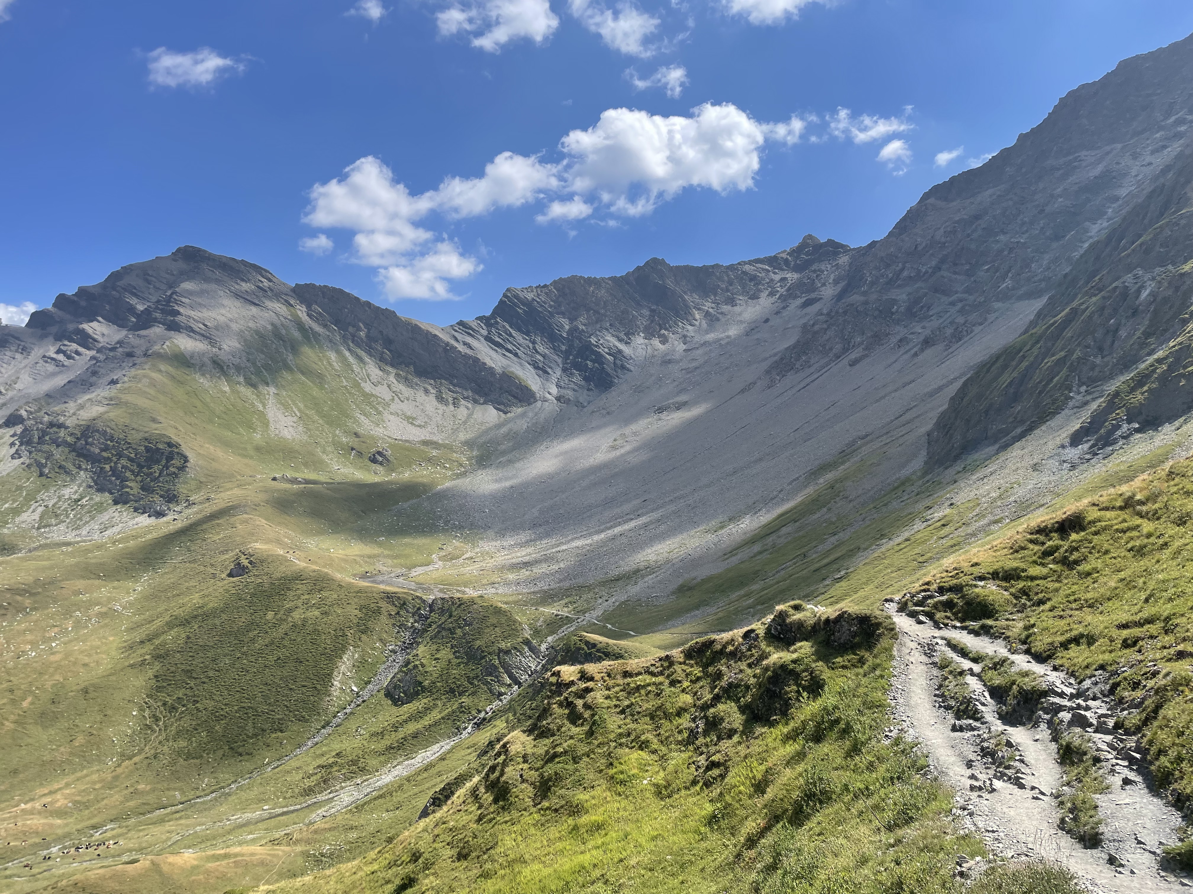 Alpine landscape