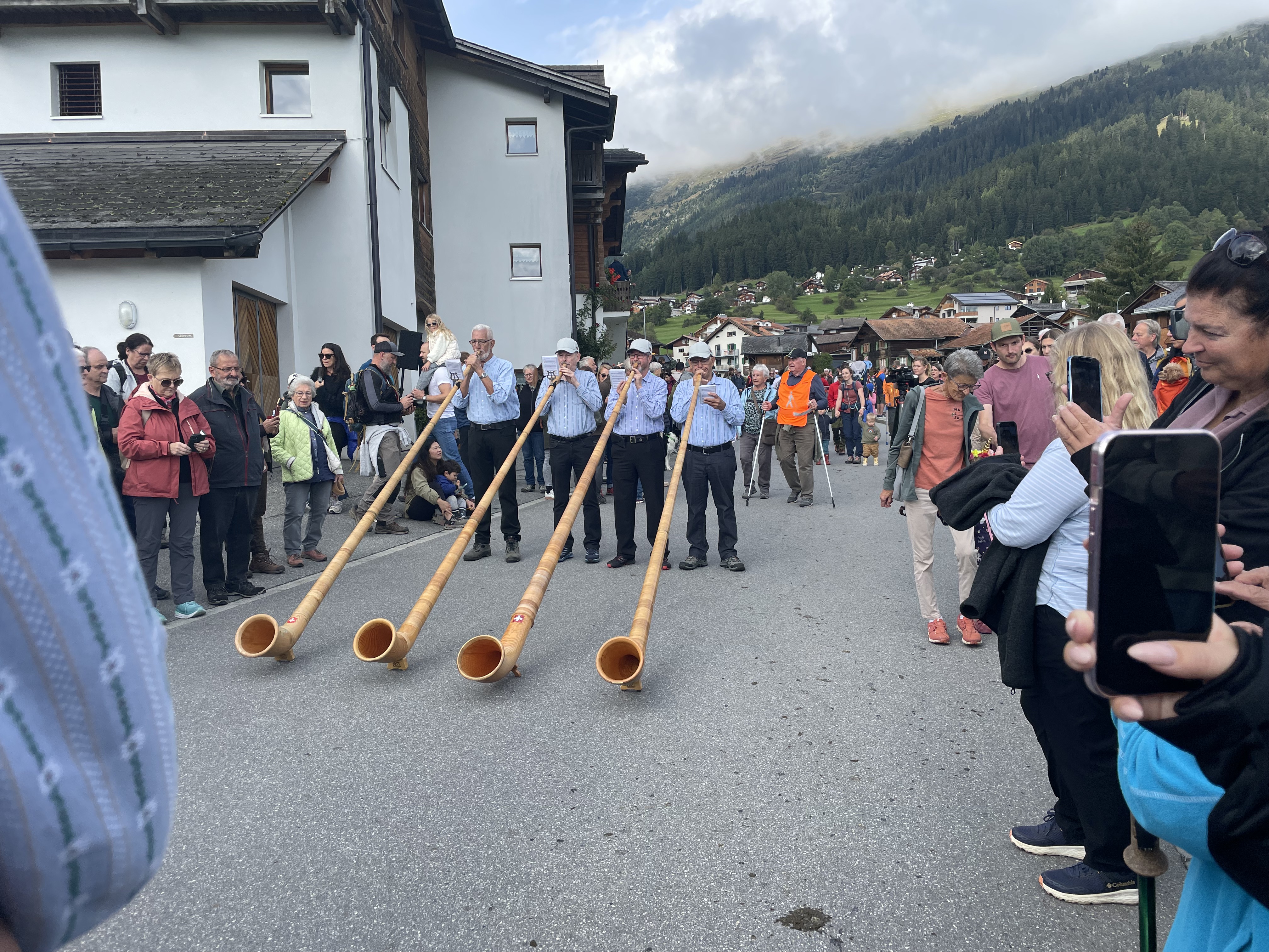 IMG 2634