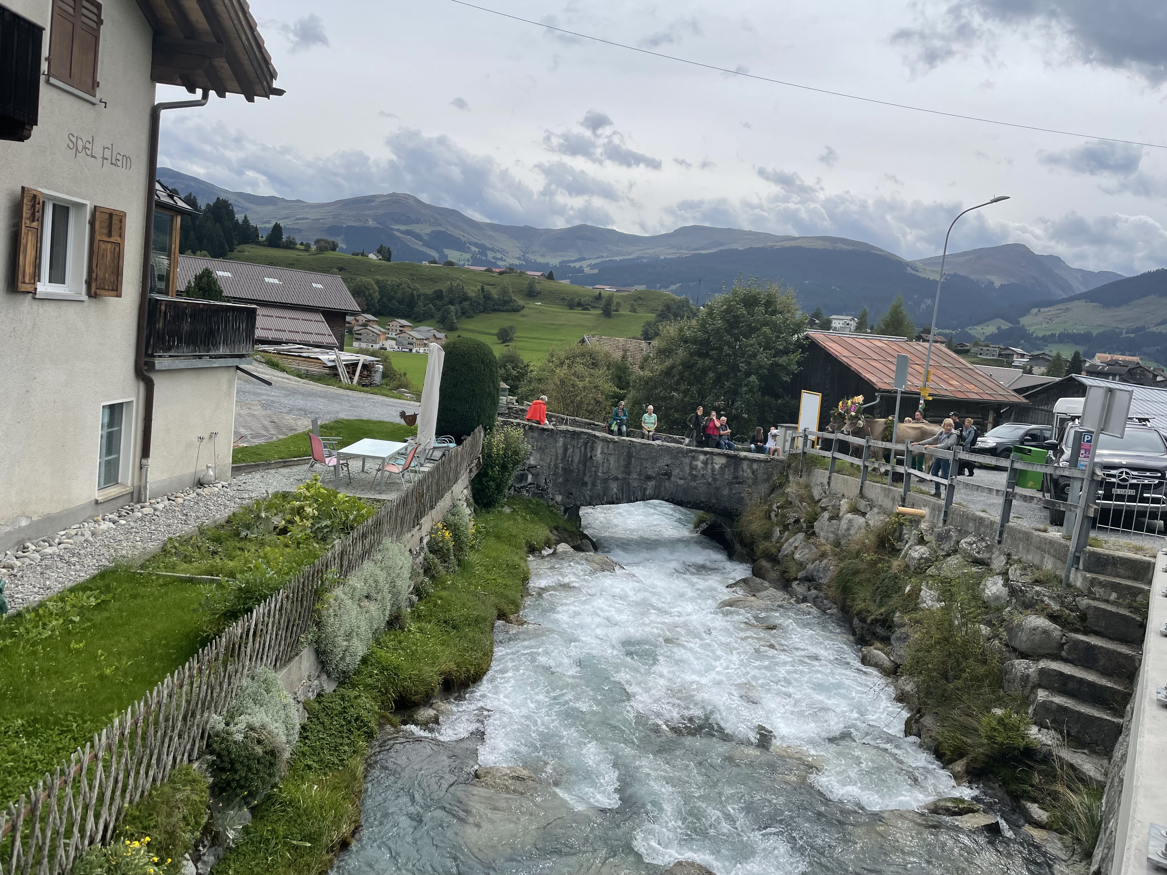 IMG 2719